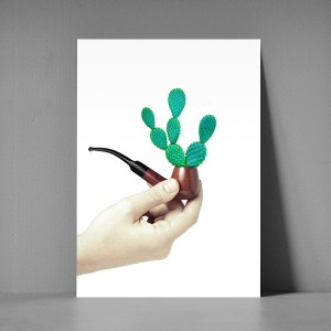 xl_postkort_kaktus_pibe