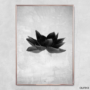 plakat_aurea_greyish_flower3