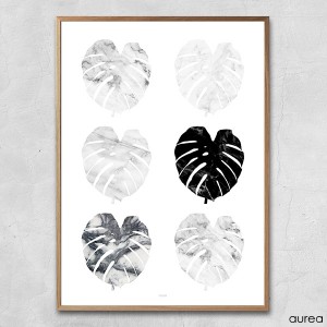 plakat_aurea_monstera_collage (2)